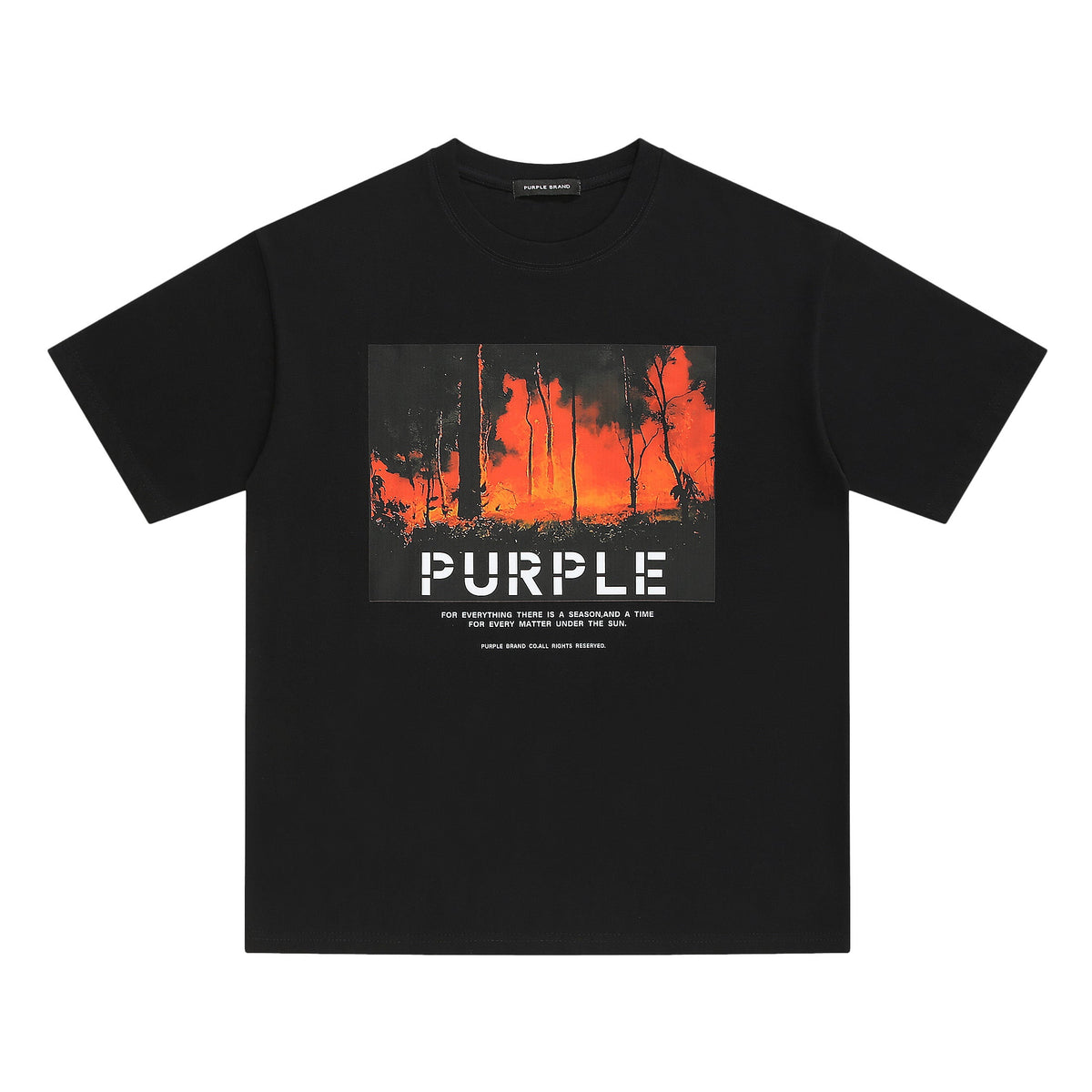 Purple Brand T Shirts