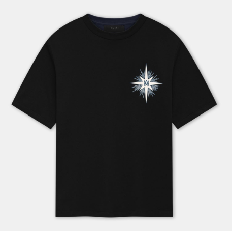 AMIRI T-Shirts