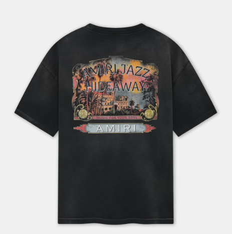 AMIRI T-Shirts