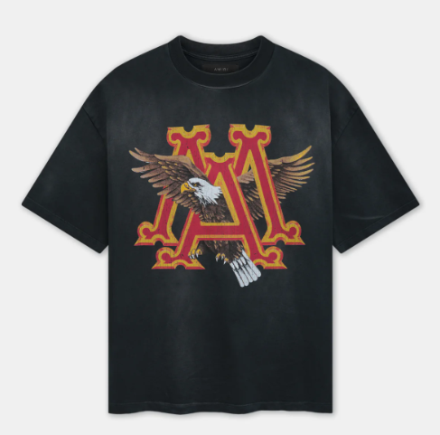 AMIRI T-Shirts
